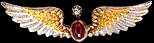 Platinum and Gold Wing Brooch