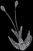 Bird Brooch